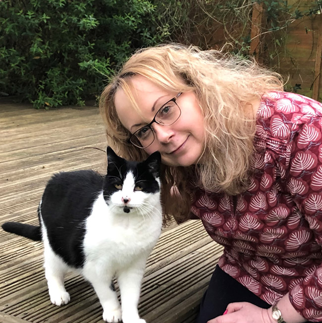 Free Wills Month Bath Cats & Dogs Home